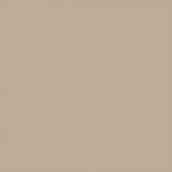 Backdrop 2.70M - Cappuccino _52