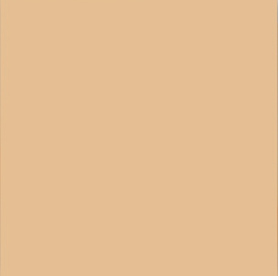 Backdrop 2.70M - Caramel_100