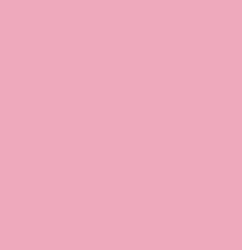 Backdrop 2.70M - Carnation_21