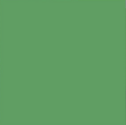 Backdrop 2.70M - ChromaGreen_33
