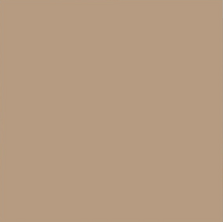 Backdrop 2.70M - Coffee _11