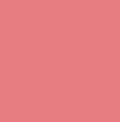Backdrop 2.70m - Coral Pink_46