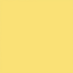 Backdrop 2.70M - Dandelion_16