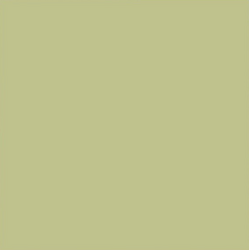 Backdrop 2.70M - Fern_12
