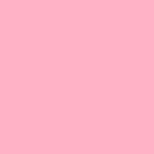 Lee 110 Middle Rose