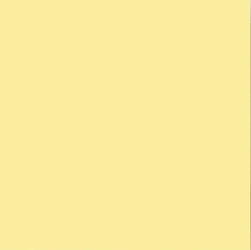 Backdrop 2.70M - Lemon_45