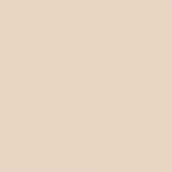 Backdrop 2.70M - Oyster_34