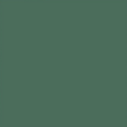 Backdrop 2.70M - SpruceGreen_ 37