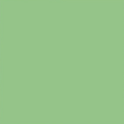 Backdrop 2.70M - SummerGreen_59