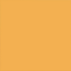 Backdrop 2.70M - SunFlower_94